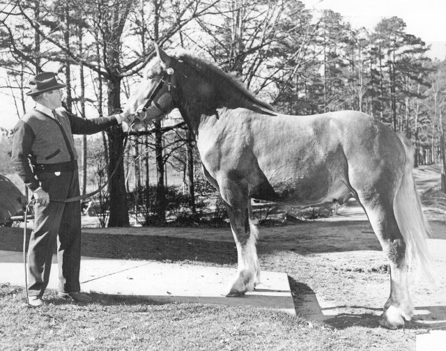 Reverend Lucius Bunyan Compton